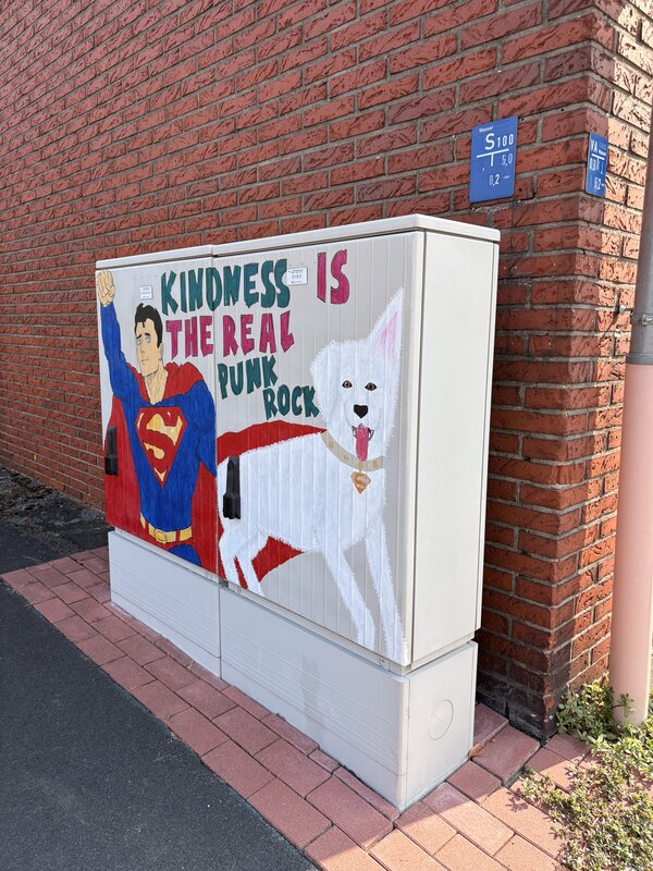 Ein Stromkasten, der mit Grafitti bemalt wurde und Superman mit einem weißen Hund abbildet.