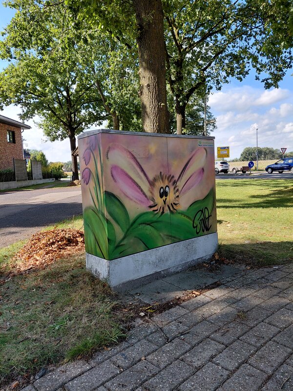 Ein Stromkasten unter einem Baum der mit Grafitti verschönert wurde