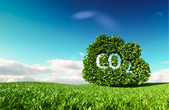 Ein Baum steht auf der Wiese mit einem CO2 Zeichen