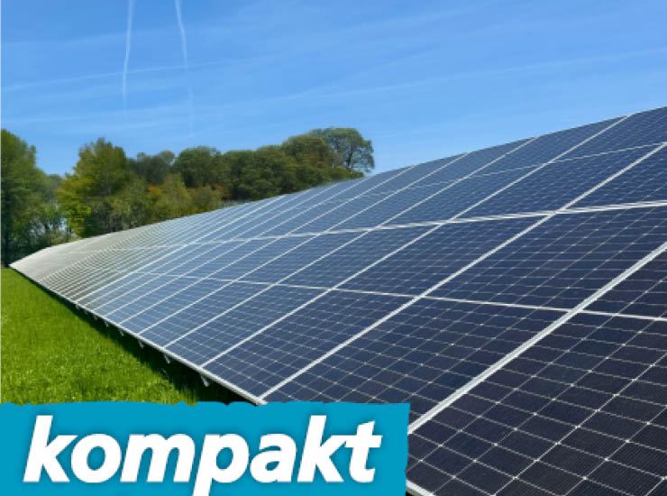 Photovoltaikmodule stehen auf der Wiese