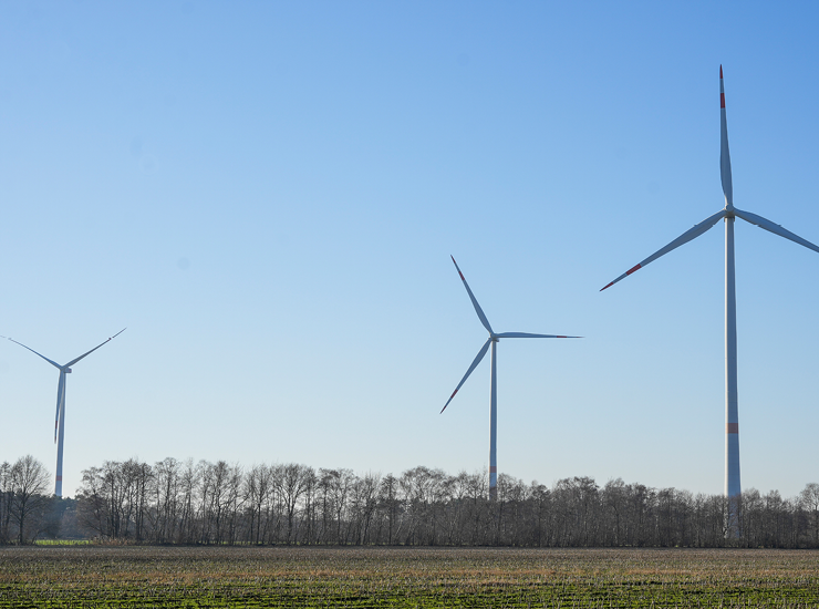 Windpark Quendorf